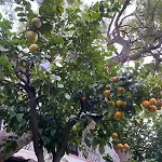 Boutique Hotel Las Islas (Adults Only)